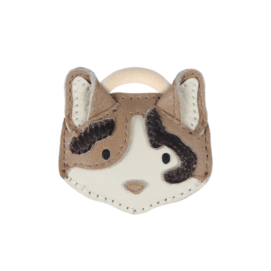 Hárteygja | Josy Calico Cat