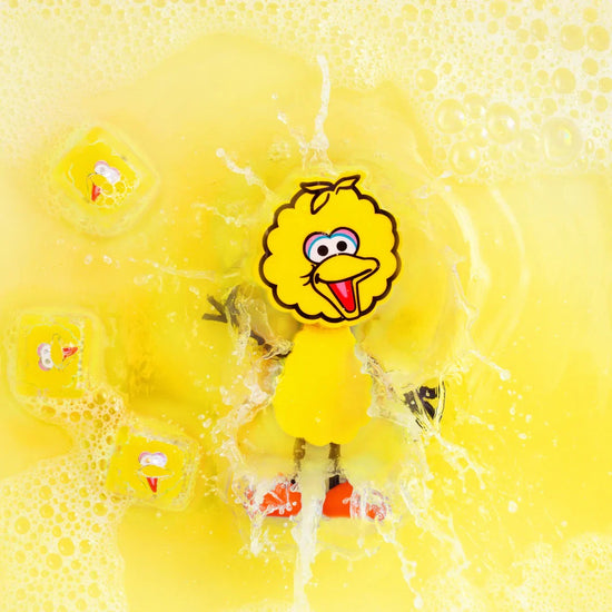 Baðdót | Big Bird + Teningar